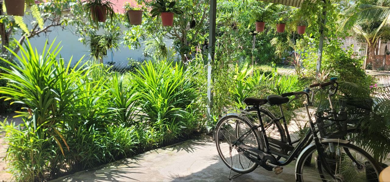 Home Garden